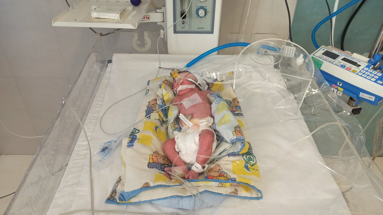 ثبت تولد اولین ۴ قلوهای اصفهانی در سال ۱۴۰۳ + عکس و اسامی نوزادان