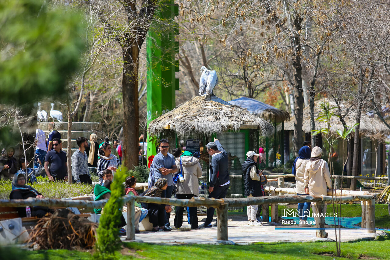 «تفریح» بسترساز زندگی سالم در شهر زندگی