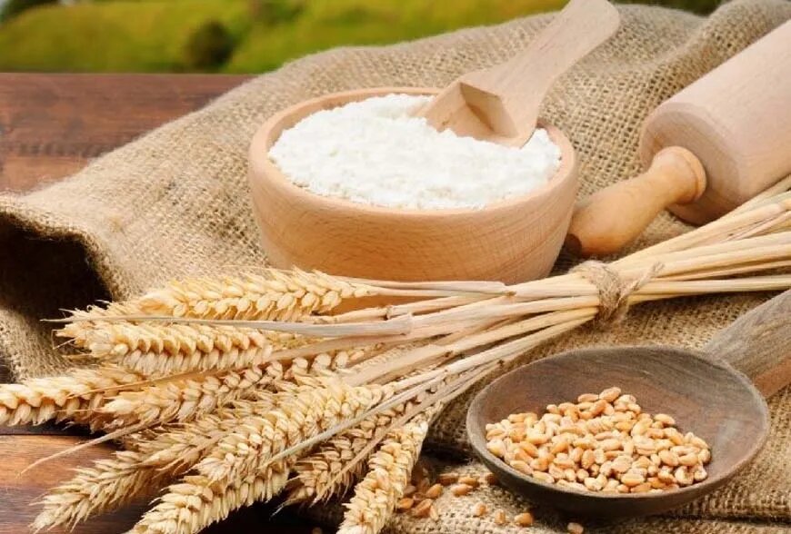 از گفتار تا رفتار فاتح خیبر / واژه در وصف تو آنگونه که میخواهم نیست