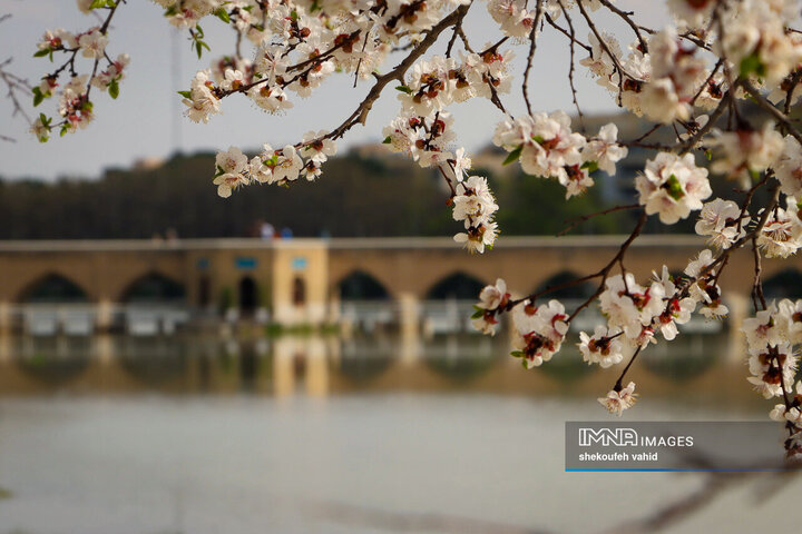 Esfahan Spring IMNA - Radiant Splendor of Spring in Isfahan