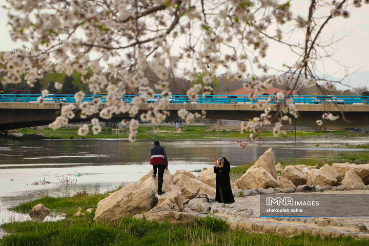 Radiant Splendor of Spring in Isfahan
