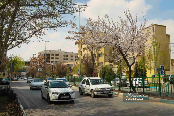 Radiant Splendor of Spring in Isfahan