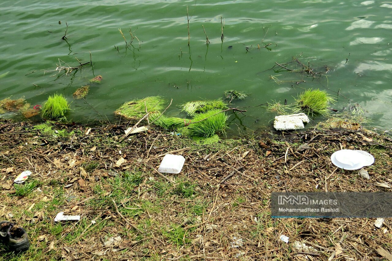 زباله، یادگار مسافران نوروزی در خطه شمالی