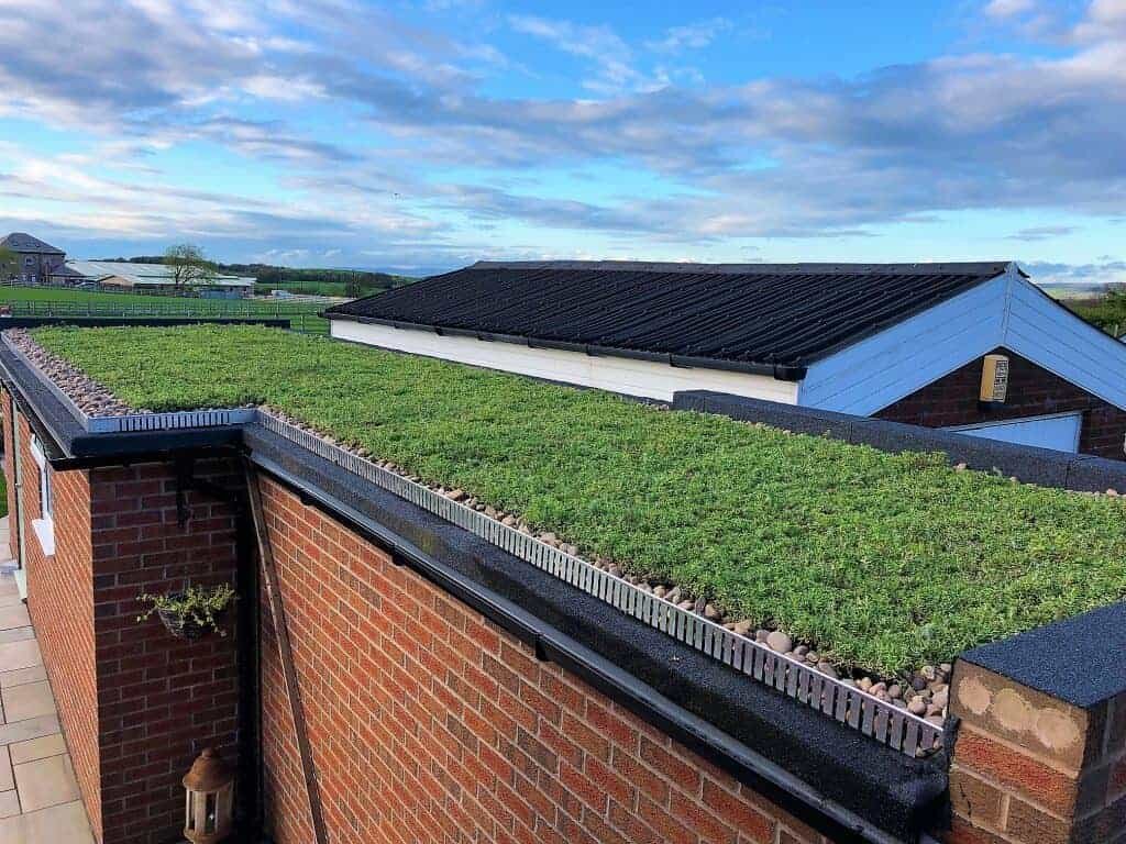 نقش محلات در بهبود کیفیت شهر + نمونه موفق اقتصاد دایرهای محلهمحور