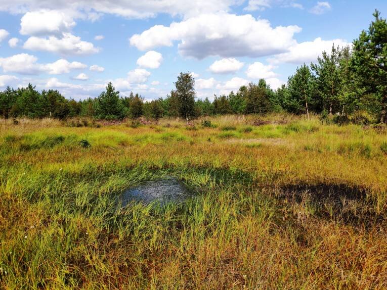 برنامه ۶ ساله هانوفر برای تقویت اکوسیستم شهری