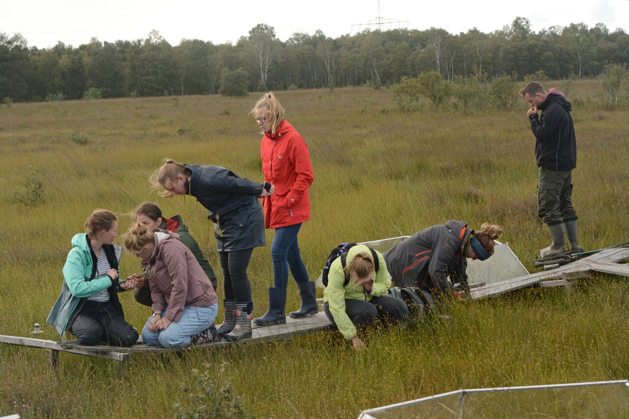 مناسبسازی حملونقل انگلیس برای نابینایان /کاهش ضایعات غذایی با کمک به نیازمندان در لهستان
