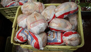 رشد ۵۷ درصدی تولید مرغ و گوشت در لرستان