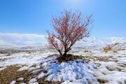 باران و برف در راه قزوین