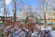 بارش برف بهاری در روستاهای شهرستان اسکو + فیلم