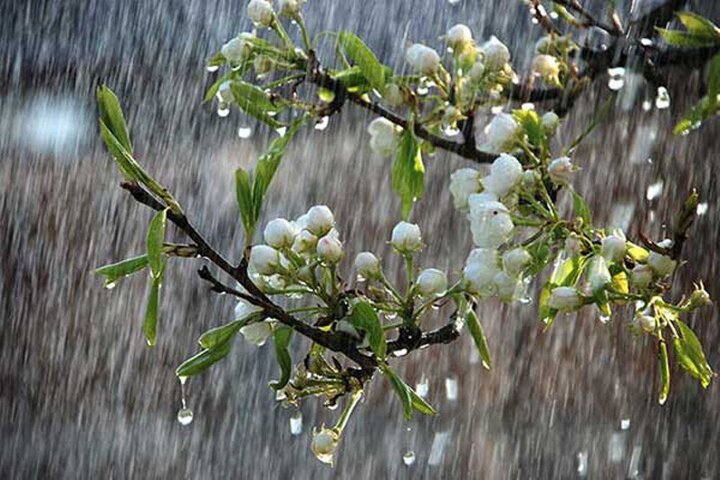 بارش‌های بهاره تا روز سه‌شنبه در کردستان ادامه دارد