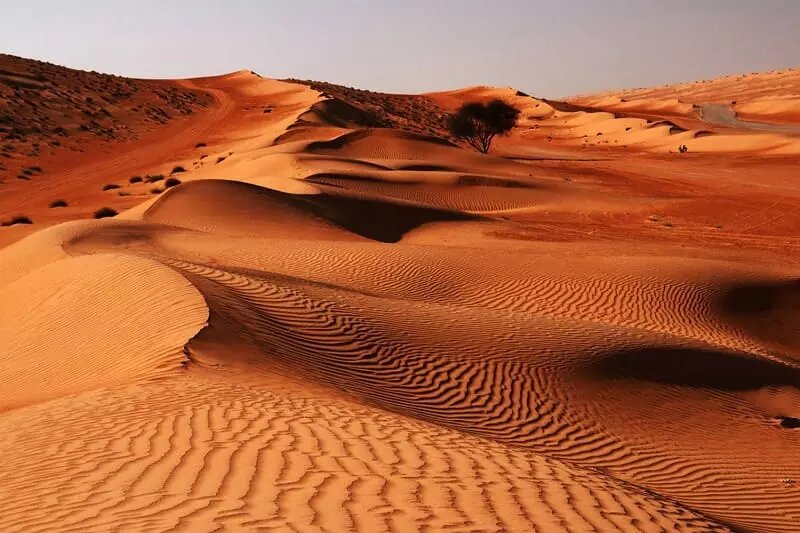 نائین به عنوان شهر هزارههای تاریخی مقصد جذابی برای موج سوم سفر گردشگران است