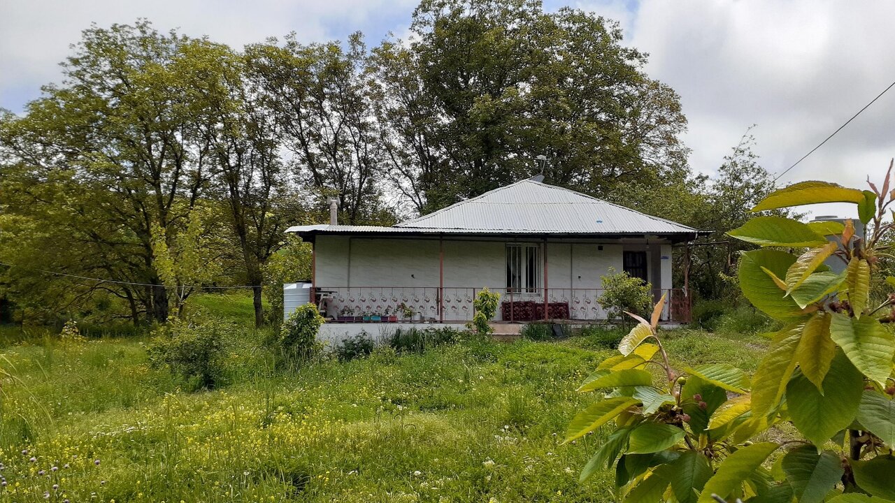 سفر به سرزمین ابرها: درفک گیلان، مقصدی رویایی برای طبیعتگردان