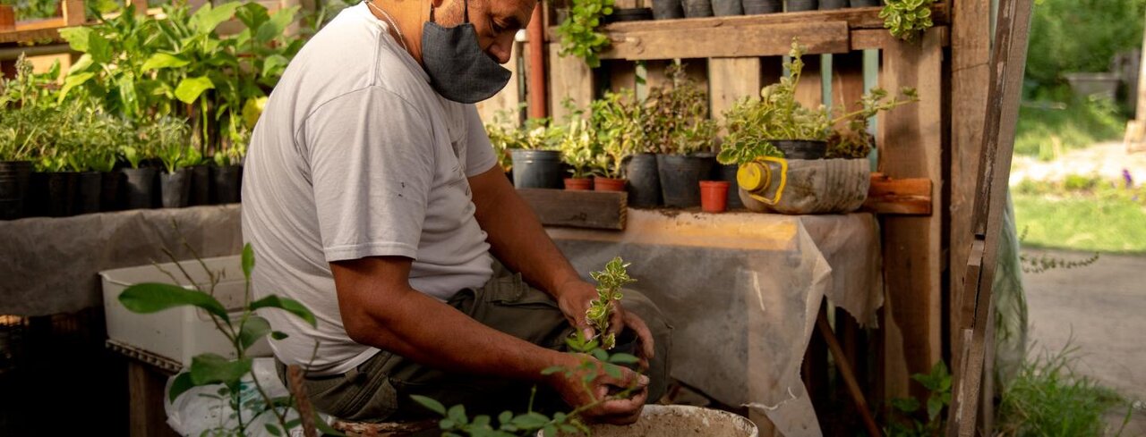 خودکفایی غذایی در شهرها + نمونههای موفق