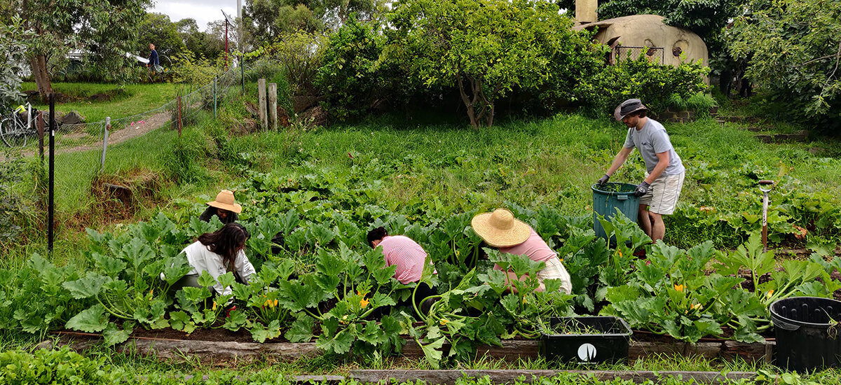 خودکفایی غذایی در شهرها + نمونههای موفق
