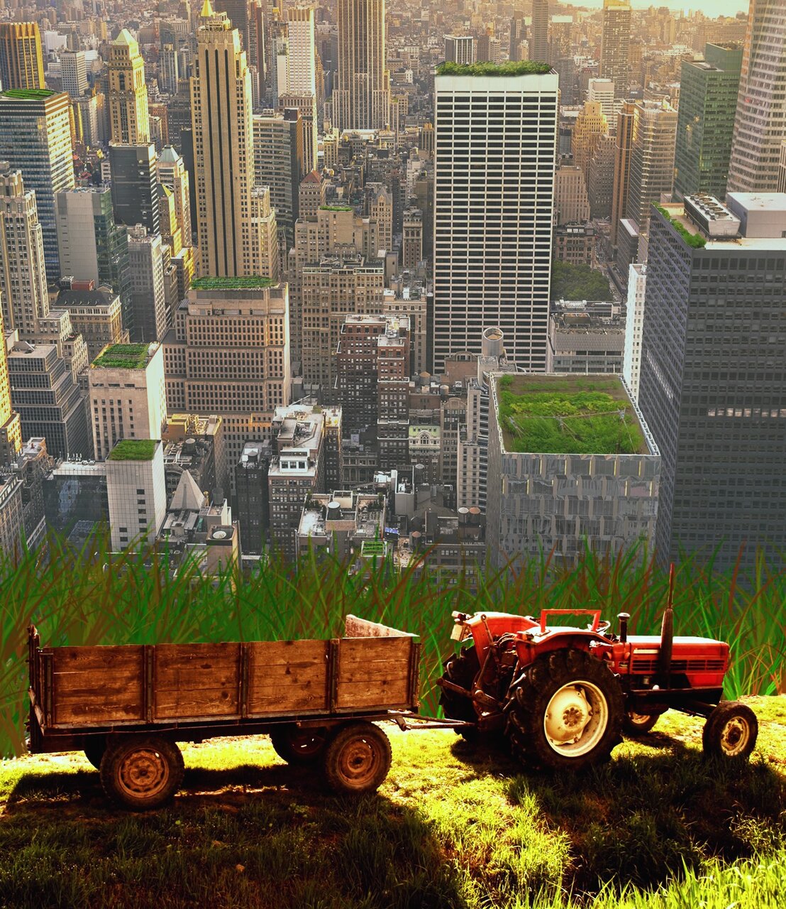 خودکفایی غذایی در شهرها + نمونههای موفق