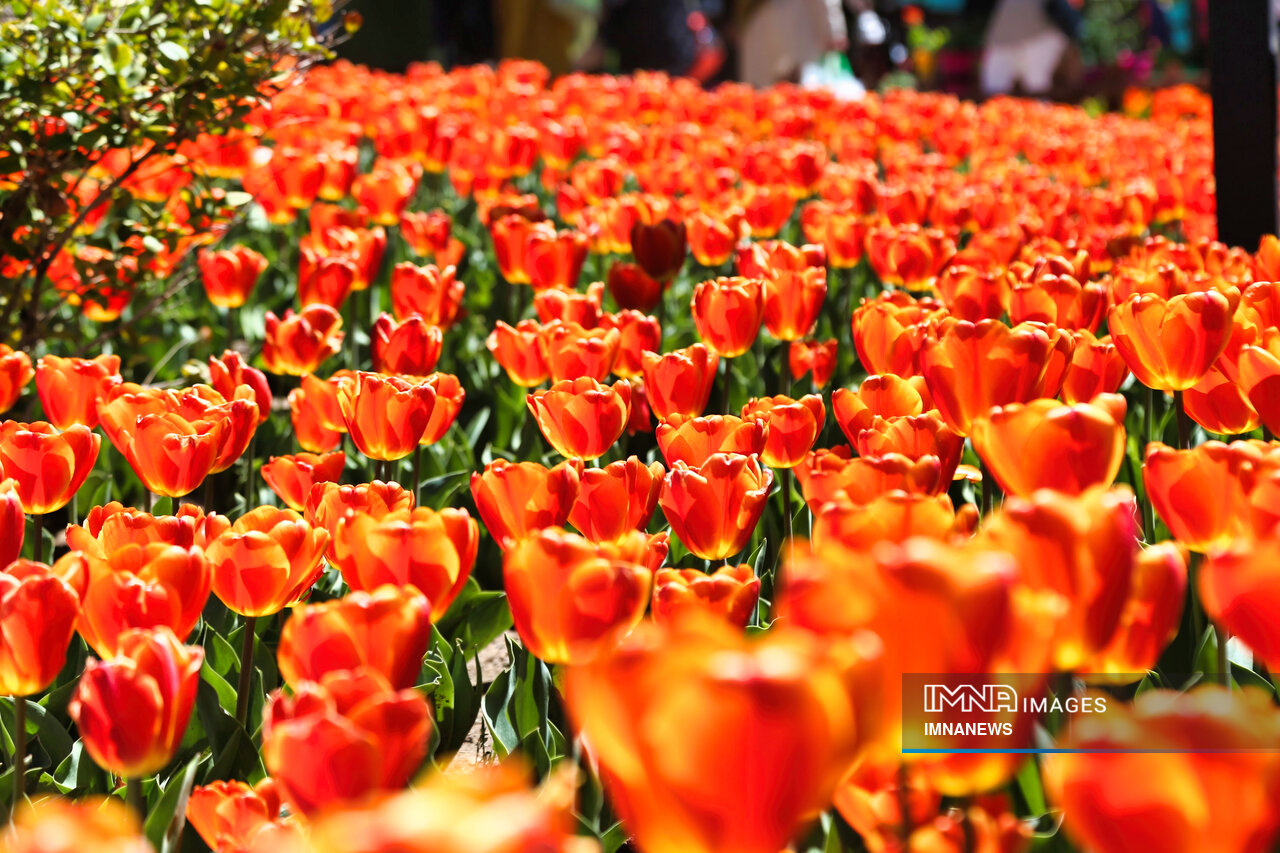 حقایق کمتر شنیدهشده درباره ترکیه