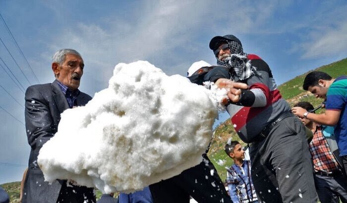 همدلی نیاکیها و اسکیها لاریجان با آیین سنتی ورف چال؛ روزی که زنان پادشاهی میکنند