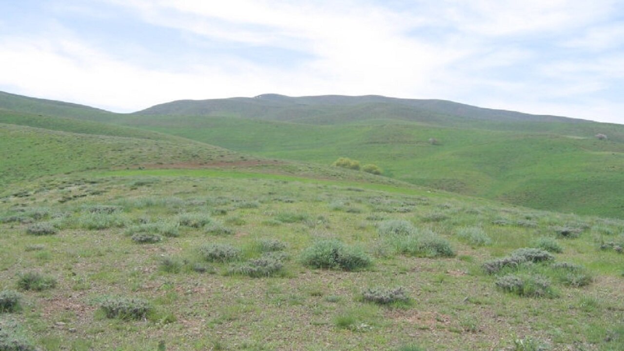 مالچ پاشی گزینه مناسبی درمقابله با ریزگردها / مالچ نانو،راهکاری نوین در برابر بیابانزایی