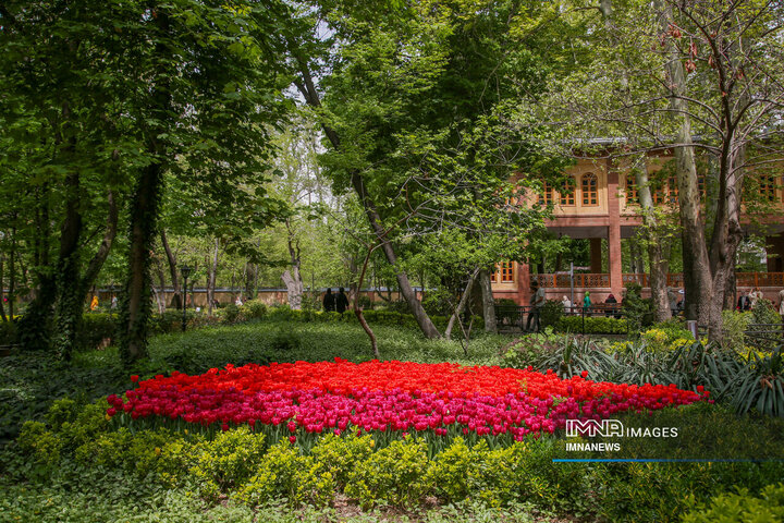 گل‌های لاله باغ ایرانی