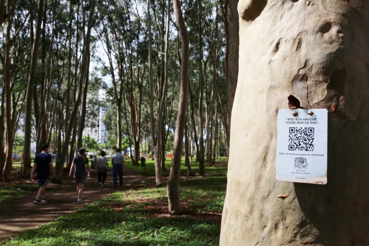 شهرهایی که درختان را اولویت قرار دادند