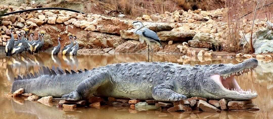 از بزرگترین پارک آبی کشور در شهر شیراز چه میدانید؟