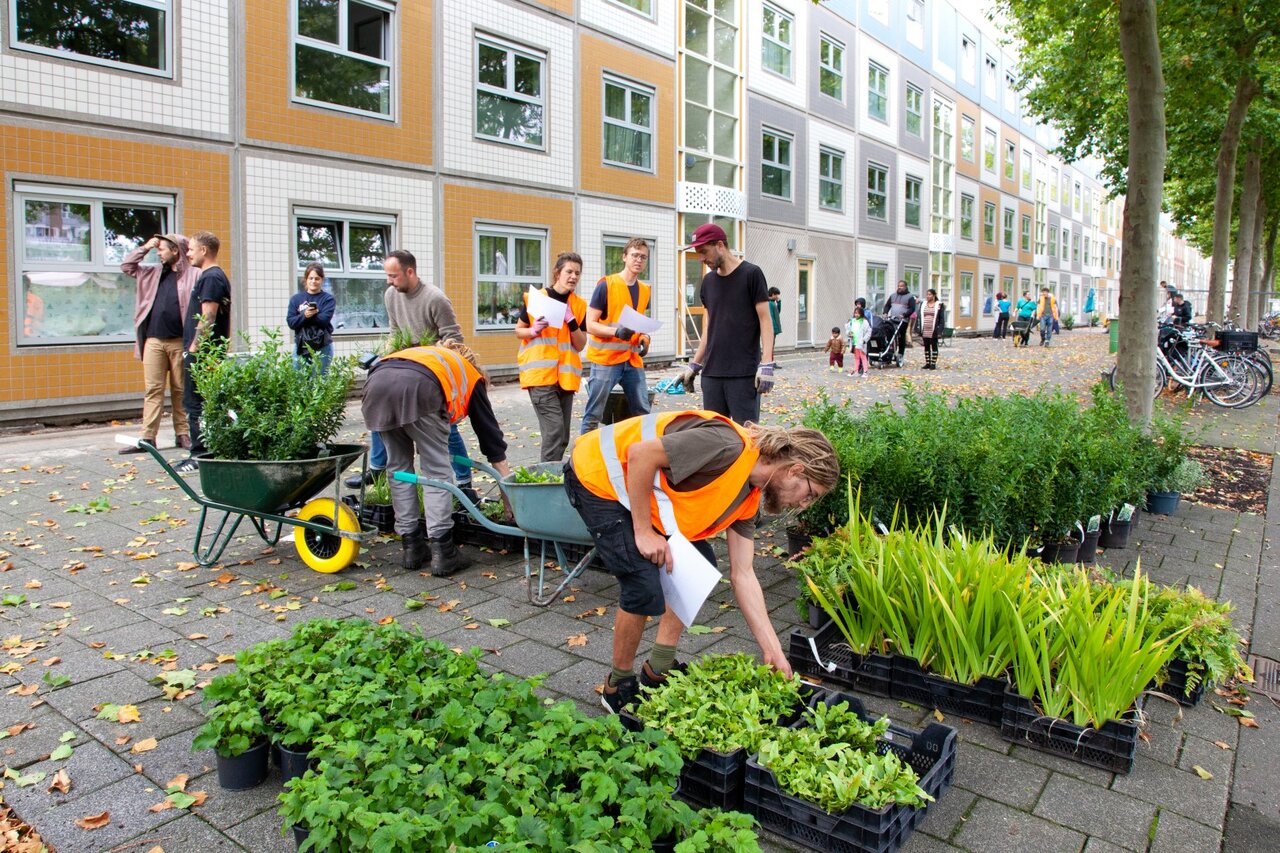 ابتکار روتردام در تبدیل سنگ‌فرش‌های خیابانی به فضای سبز