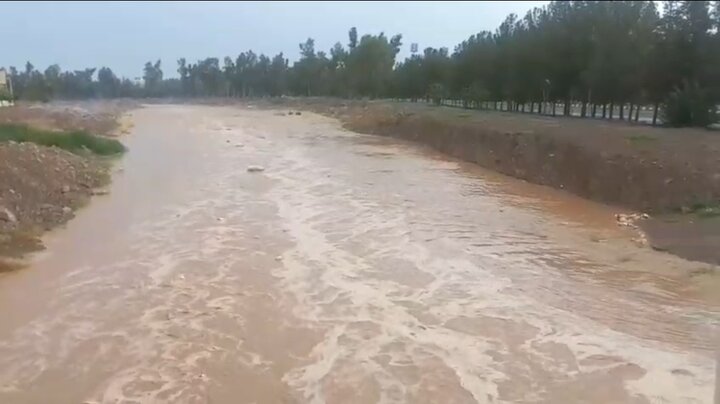 فیلم| جاری شدن رودخانه فصلی رفسنجان در پی بارش باران