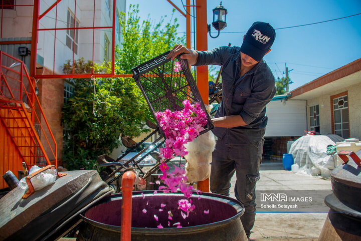 Meymand: Heart of Iran's Unique Rose Water Production