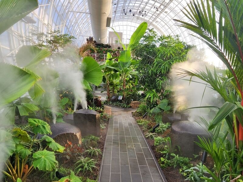 مقابله با گرمای شهری از طریق باغ‌های گیاه‌شناسی