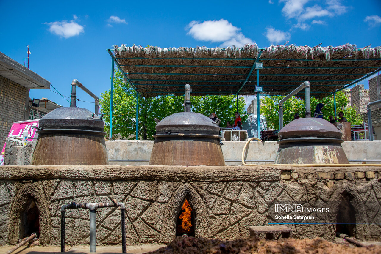 عطر ناب گلاب در اردیبهشت ایران / آغاز فصل برداشت گل محمدی