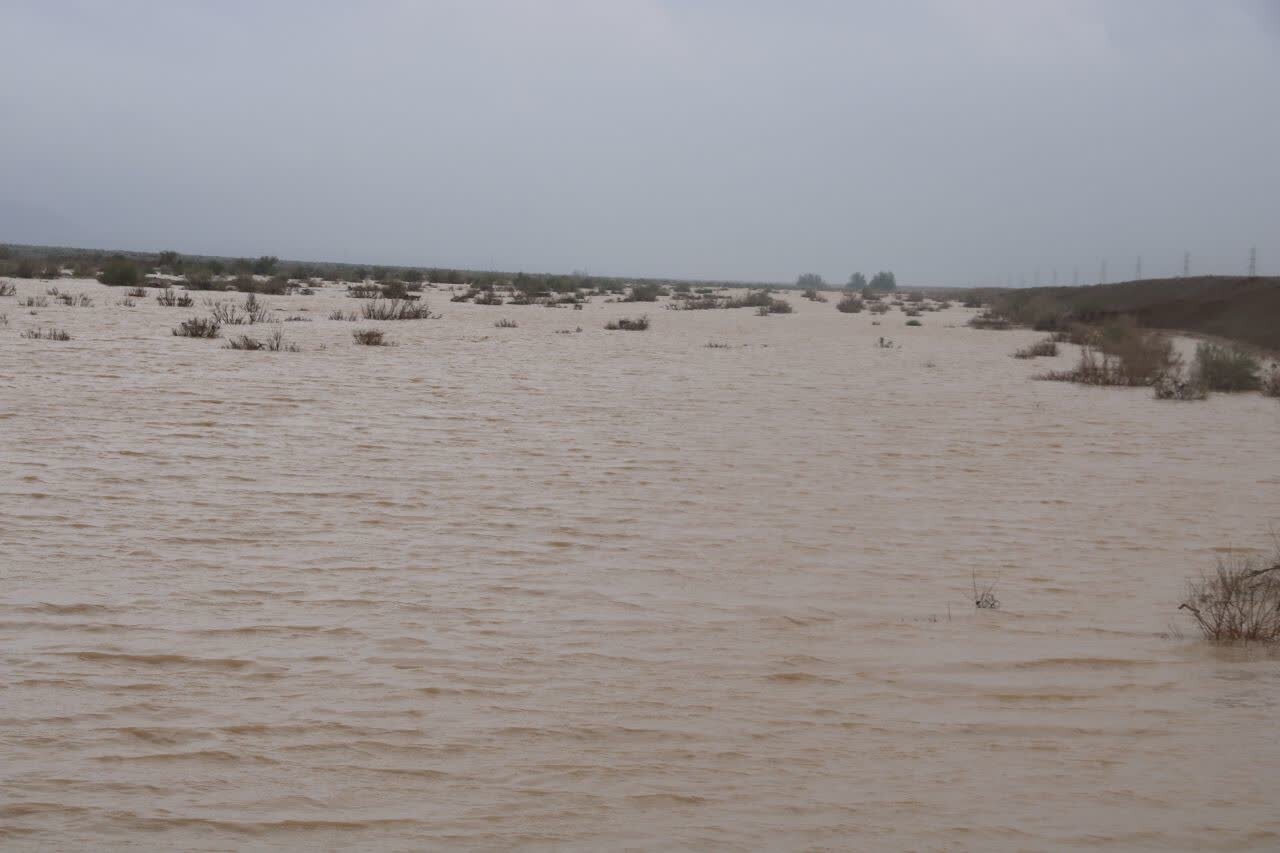 فیلم| سیلاب ورودی به سد شیرین‌دره در بامداد امروز