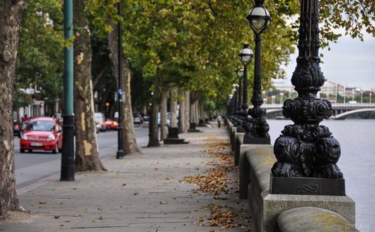 تضمین حیات شهری با افزایش درختان