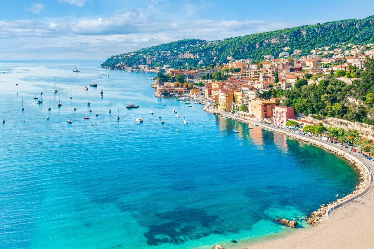 تضمین حیات شهری با افزایش درختان