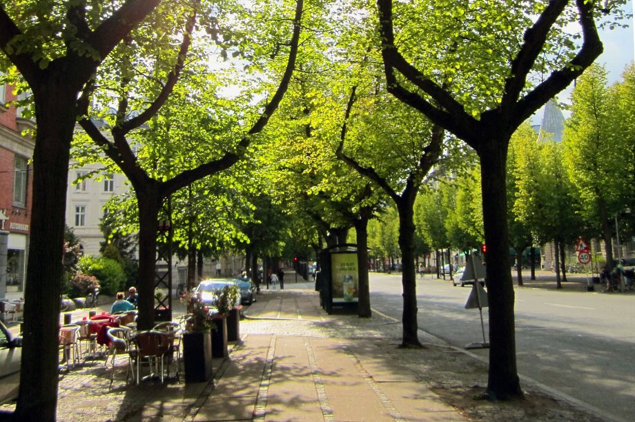 تضمین حیات شهری با افزایش درختان