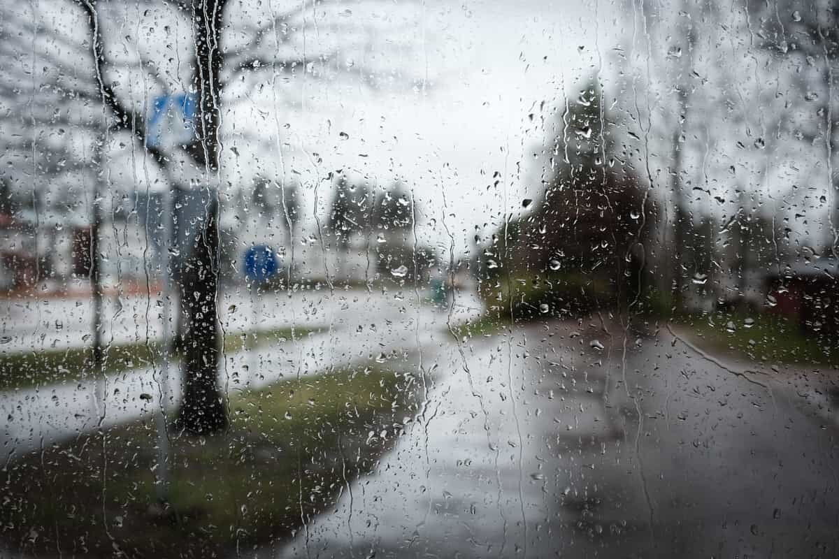 فیلم| باران بهاری در بجنورد