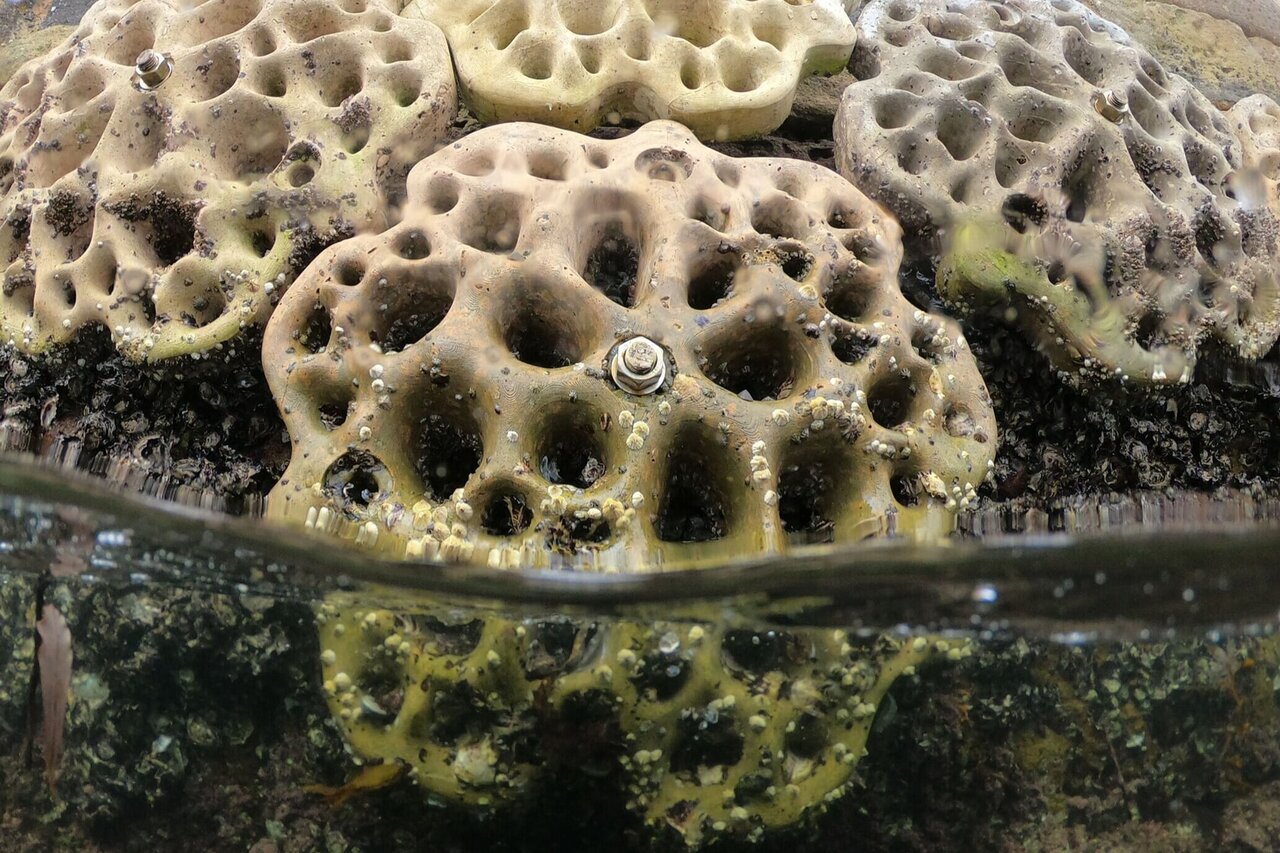 نیویورک میزبان جزیره آزمایشگاهی اقلیمی