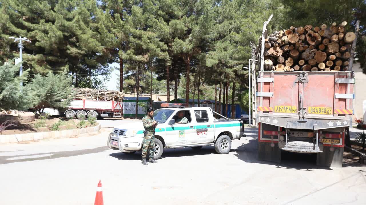 کشف و توقیف بیش از ۴۱ تن چوب قاچاق در استان کرمان
