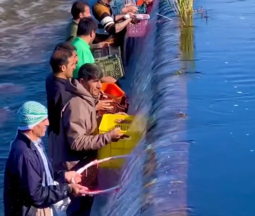 فیلم| ماهیگیری پس از سرریز شدن دریاچه زریبار مریوان