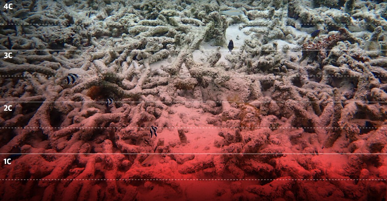 ۳ درجه سانتیگراد تا نابودی بقا در زمین