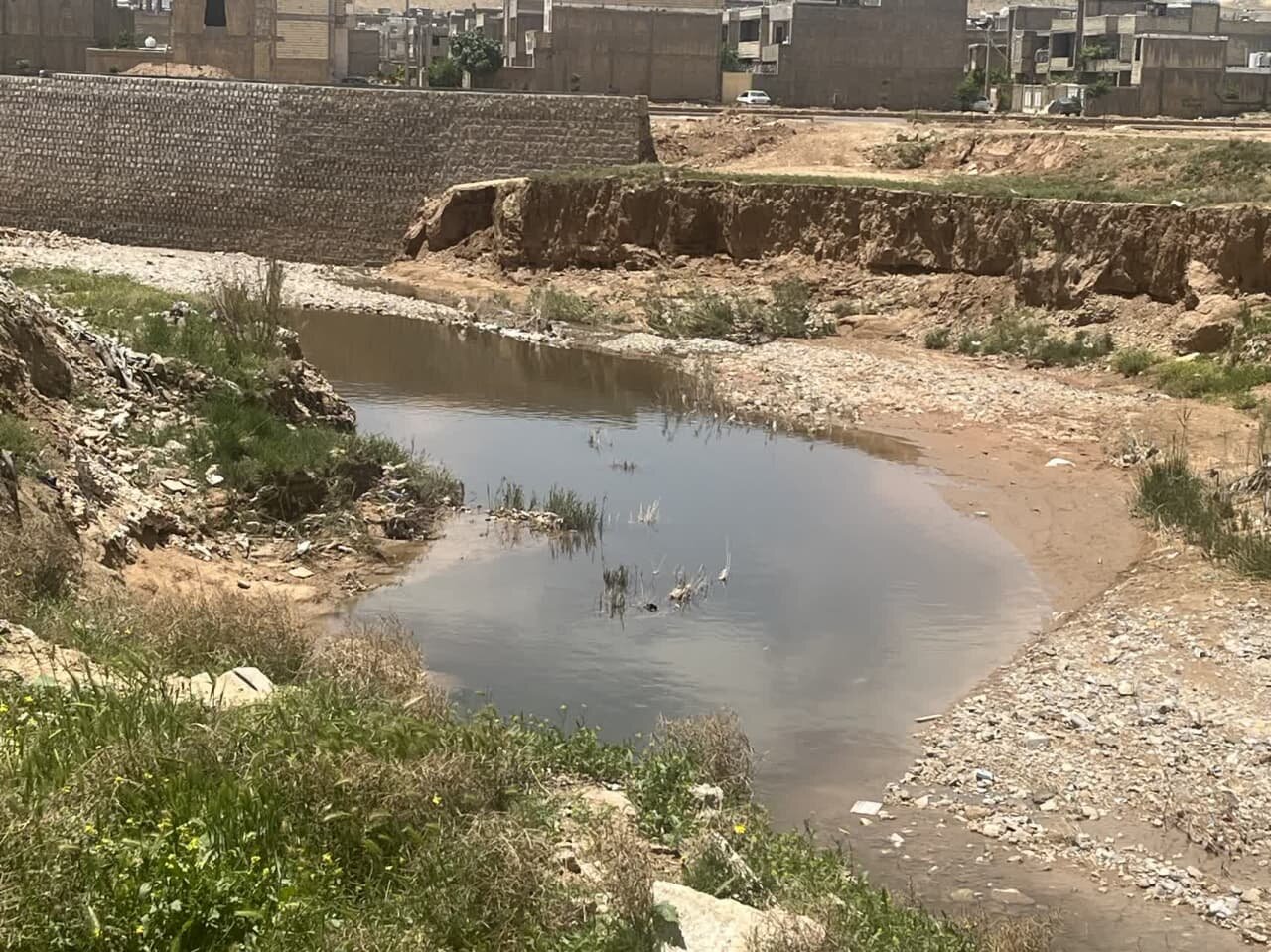 فعالیت کارخانههای نشاستهسازی شیراز در رصد متولیان بهداشت و سلامت