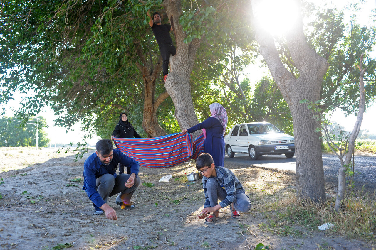 دردسرهای مهمانان سفید و سیاه شهر