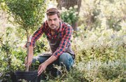 طرح جدید آنتورپ بلژیک برای سبزسازی با مشارکت شهروندان