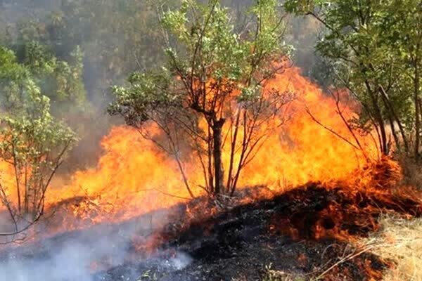 تلاش برای کنترل آتش‌سوزی در منطقه «اشکفت شیری» گچساران ادامه دارد