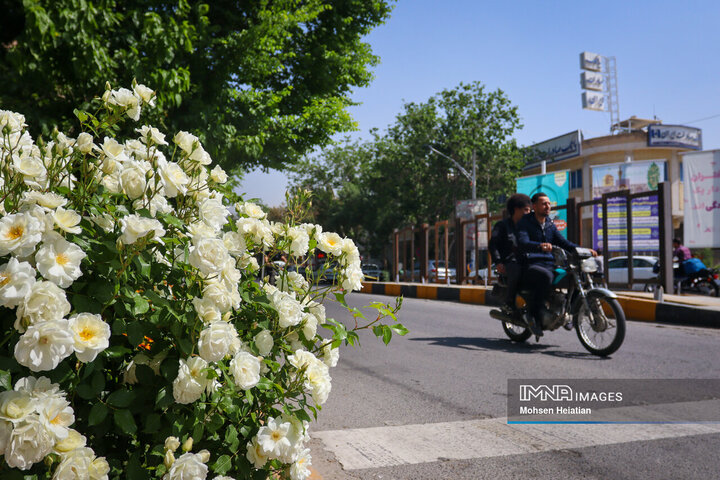 مهمانان سپیدپوش اصفهان