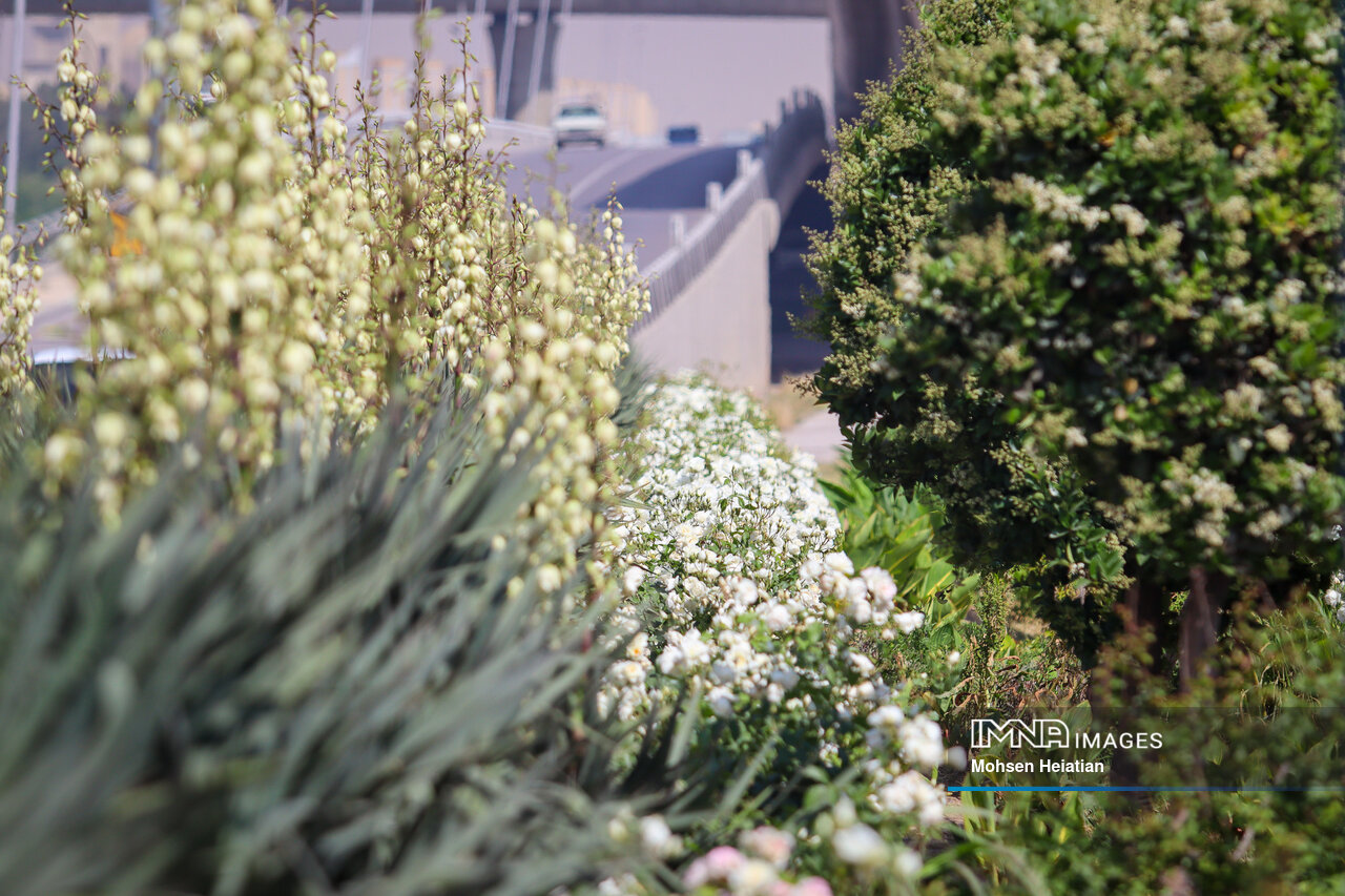 اصفهان، اردیبهشت و شاهزادهای که طلسمش را شکسته است