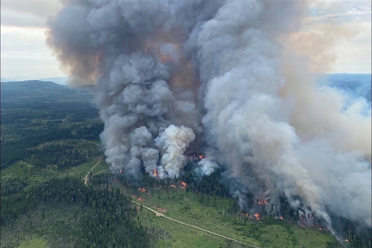 آتشسوزی خارج از کنترل جنگلهای کانادا، آمریکا را آلوده کرد + عکس