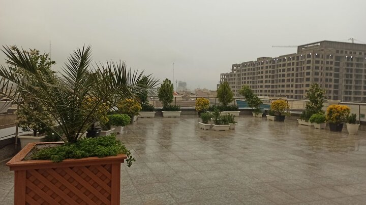 فیلم| حال و هوای بارانی امروز مشهد