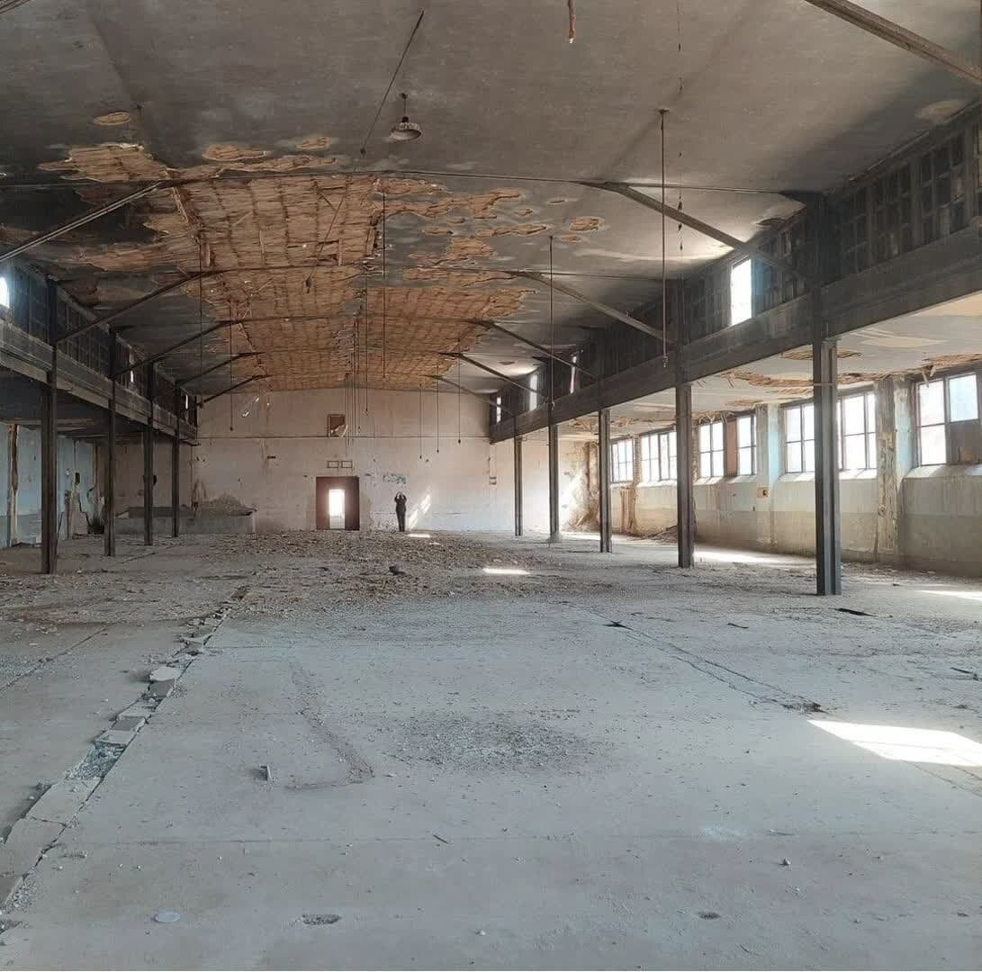 تعبیر رویای بیستساله؛ «ریسباف» زنده میشود