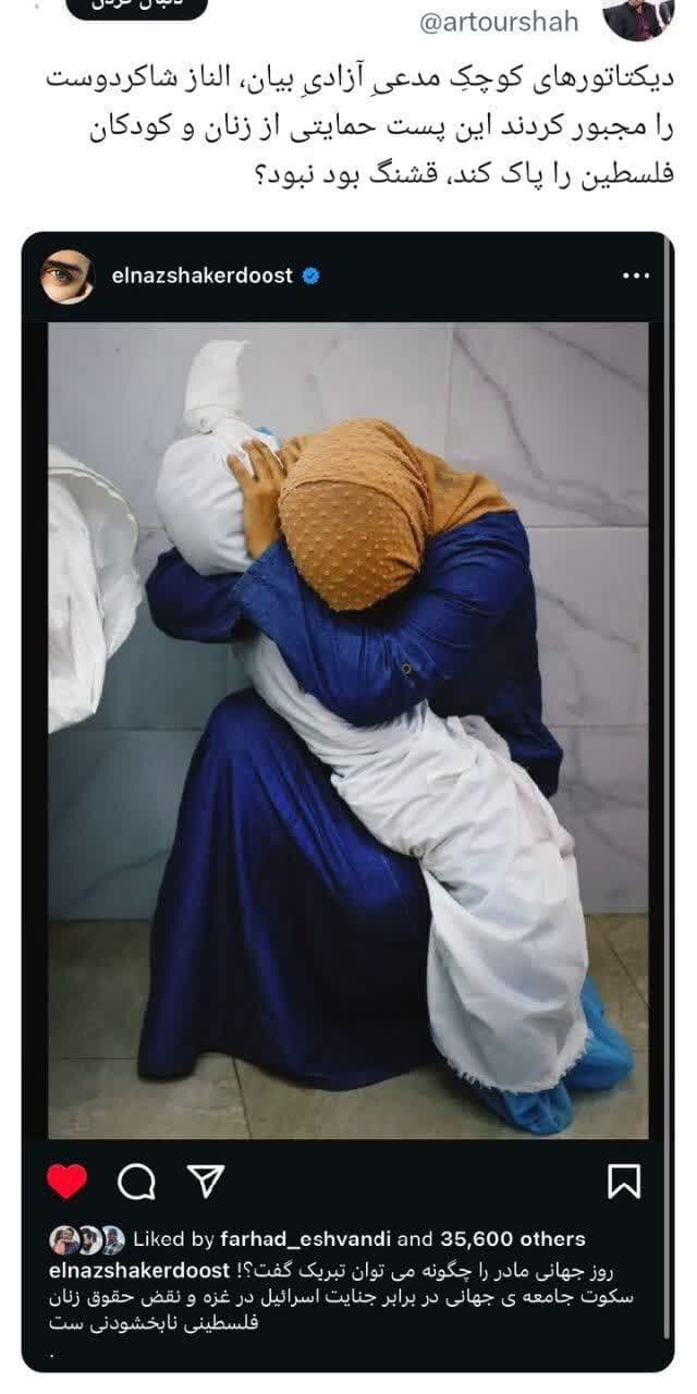 بازهم ترفند رسانه، بازهم مارپیچ سکوت؛ این بار «الناز شاکردوست»