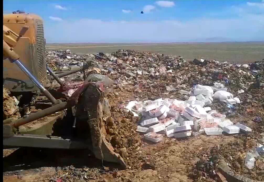 معدوم‌سازی ۴۰۰ کیلو مرغ فاسد در قزوین